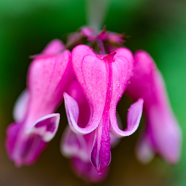 Nature inspired logic