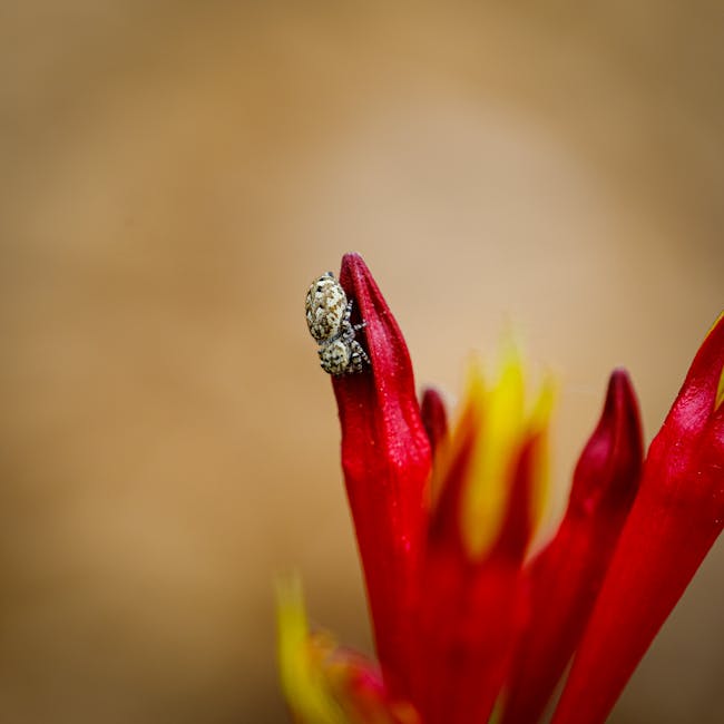 Detail oriented engineering